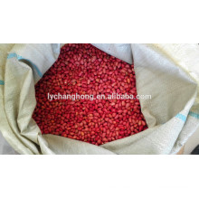 Четыре красных арахиса кожи из фарфора 2014 новой культуры